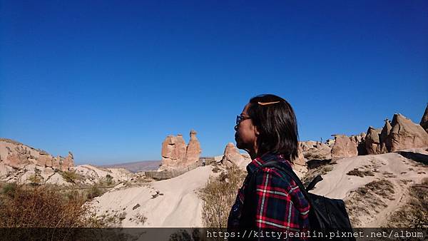 駱駝岩Camel Rock