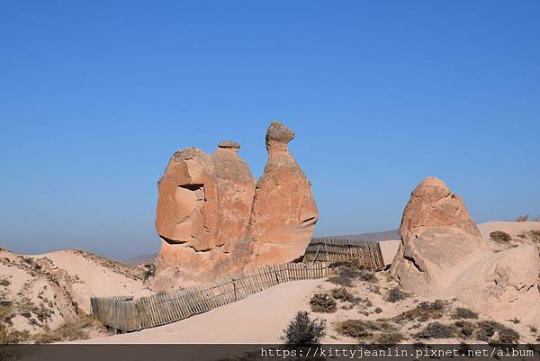 駱駝岩Camel Rock