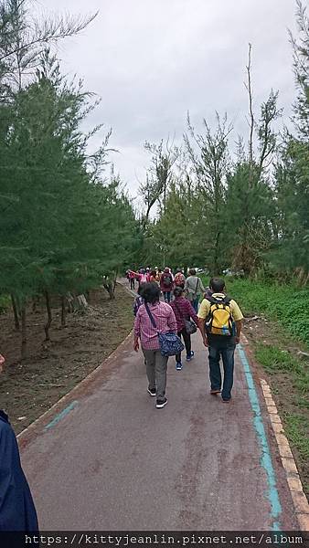 台東森林公園散散步 吹吹風