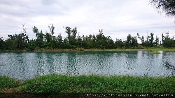 台東森林公園散散步 吹吹風