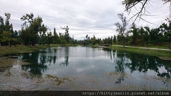 台東森林公園散散步 吹吹風