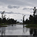 台東森林公園散散步 吹吹風