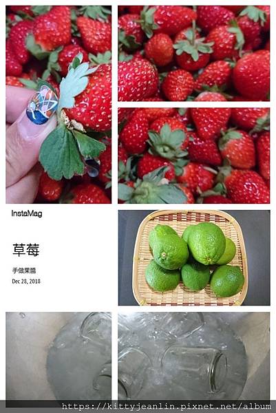 2018閒妻手作草莓果粒果醬