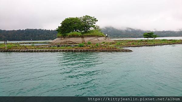 2019春遊-賞蝶趣-包船遊日月潭趣(上)