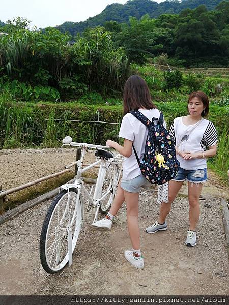 樟樹步道散策 吃包種茶霜淇淋趣