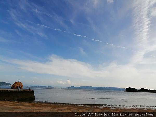 黃南瓜　草間彌生　直島