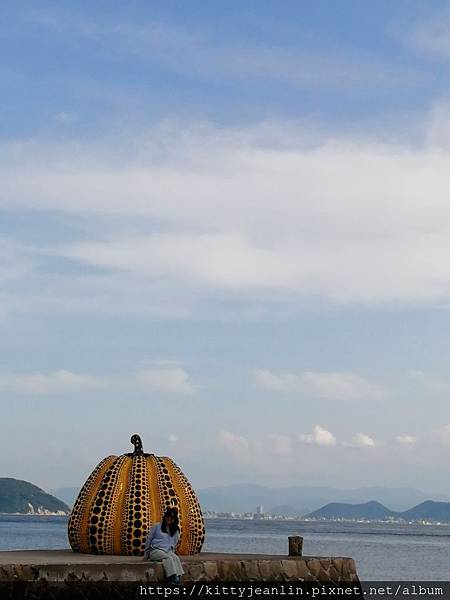 黃南瓜　草間彌生　直島