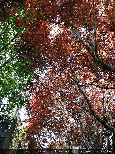 太平山森林遊樂區