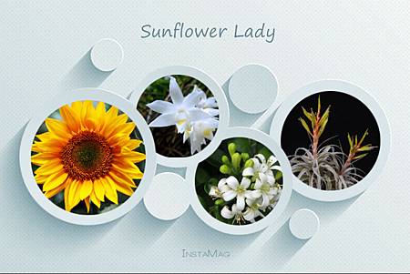 2016.04.05 Sunflower Lady PT