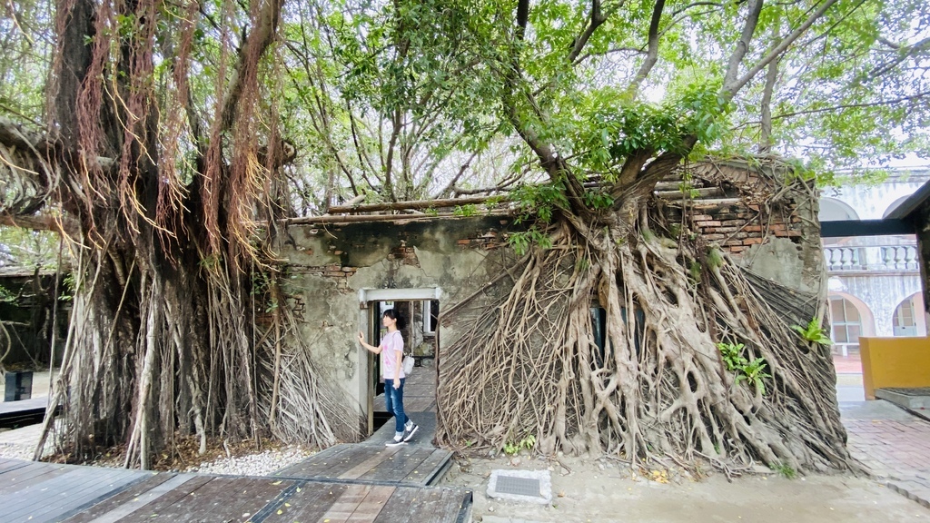 14638351013568.jpg 14638351013568.jpg