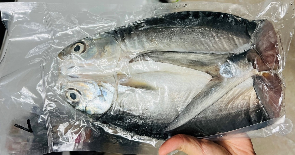 嘉義布袋 海線農村一日遊懶人包 體驗親手挖蚵 捕虱目魚 曬一夜魚干 嘉義私房景點精選 輕旅行 嘉義布袋 海線農村一日遊懶人包 體驗親手挖蚵 捕虱目魚 曬一夜魚干 嘉義私房景點精選 輕旅行