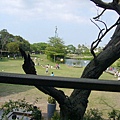 20.戶外風景1.JPG