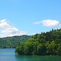 好美...湖+綠樹+藍天...