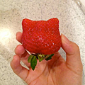 Hello Kitty外型的草莓.png