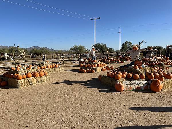 玩美紀錄~麥克唐納牧場MacDonald's Ranch~🎃