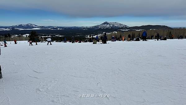 亞利桑那州「雪碗」snowbowl滑雪場~喵與雪的第一次親蜜