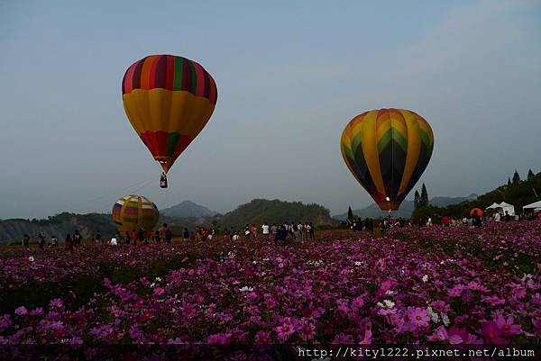 tn_P1140899 tn_P1140899