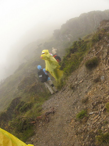 225部分人沒上山