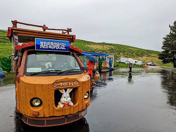 茨城県 国営ひたち海浜公園 粉蝶花ネモフィラ 常陸那珂海 茨城県 国営ひたち海浜公園 粉蝶花ネモフィラ 常陸那珂海