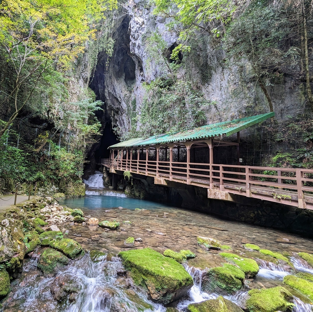 山口絶景 日本第一大鐘乳洞 秋芳洞 特別天然記念物 秋吉台