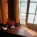 DSC05561.JPG