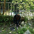 DSC05528.JPG