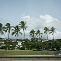 DSC07058.JPG