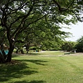 DSC07107.JPG