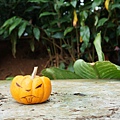 Helloween 剛過~ Cute