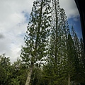 DSC08630.JPG