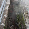 DSC08655.JPG