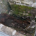 DSC08656.JPG