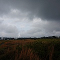 DSC08659.JPG