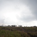 DSC08665.JPG