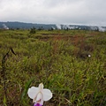 DSC08698.JPG