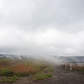 DSC08704.JPG