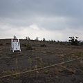 DSC08712.JPG