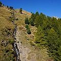 DSC01340.JPG