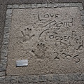 DSC02387.JPG
