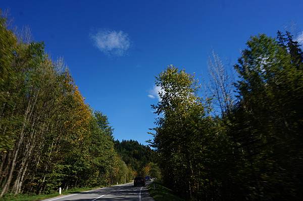 DSC02576.JPG