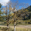 DSC02585.JPG