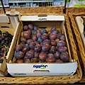 DSC02849.JPG