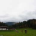 DSC02977.JPG