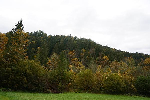DSC02975.JPG