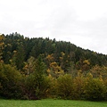 DSC02975.JPG
