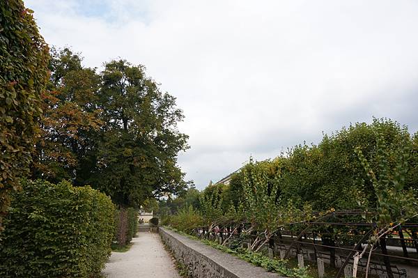 DSC03007.JPG