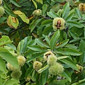 DSC03012.JPG