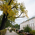 DSC03010.JPG