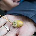 DSC03101.JPG