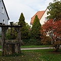 DSC03488.JPG